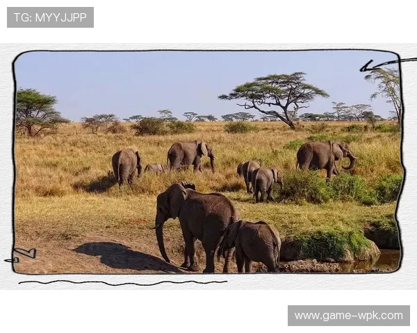 德班国际娱乐平台：探索非洲最具影响力的线上娱乐新地标